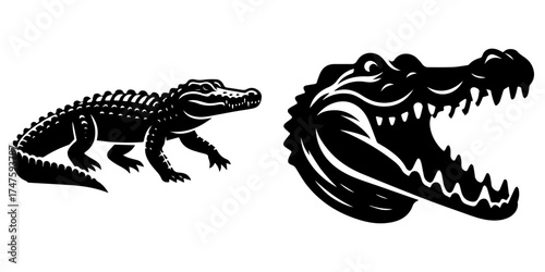 Alligator Illustration: A Detailed Black and White Design.