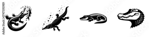 Alligator Illustrations: A Collection of Artistic Reptile Drawings.