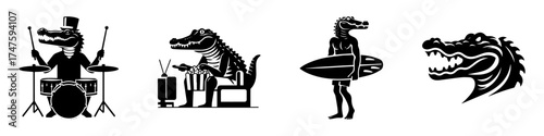 Alligator Illustrations: Drummer Chef Surfer and Head.