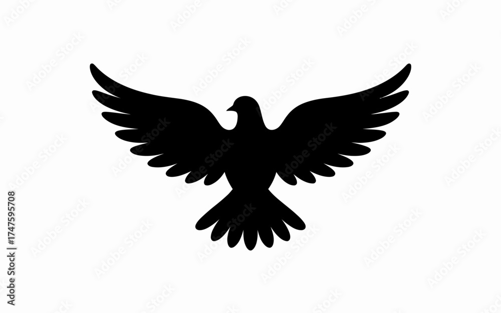 Obraz premium eagle in flight