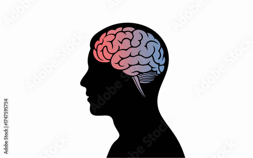human head with brain