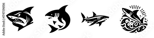Shark designs black and white illustrations ocean creatures marine life artwork.