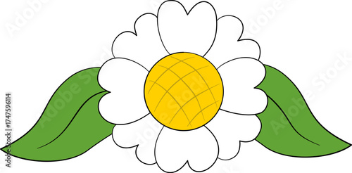 White flower with double petals with leaves