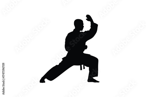 Black silhouette of martial artist in fighting stance karate