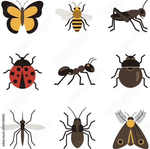 Diverse Insect Collection Butterfly Bee Grasshopper Ladybug Ant Beetle Mosquito Spider Moth.