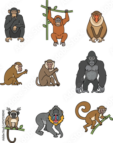 Diverse Monkey Species Illustration A Collection of Primate Characters.