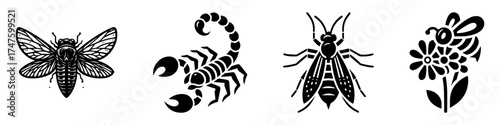 Insect and flower illustrations in black and white simple design.