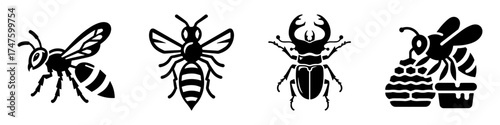 Insect Collection: Bees Beetle and Honeycomb Illustration.