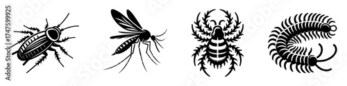 Insects and arthropods illustration black and white detailed close up.