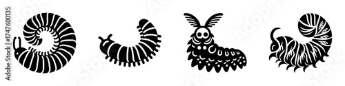 Detailed illustration of various insect life stages in black and white.