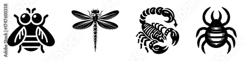 Insects and arthropods collection of black and white illustrations.