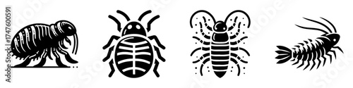 Pest Control: Identifying Common Household Insects and Bugs.