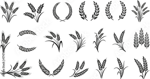 Stunning collection of elegant wheat and grain elements, perfect for branding agricultural products, bakery logos, and harvest celebrations.