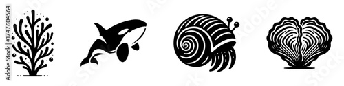 Marine Life Collection: Coral Orca Snail and Shell Illustrations.