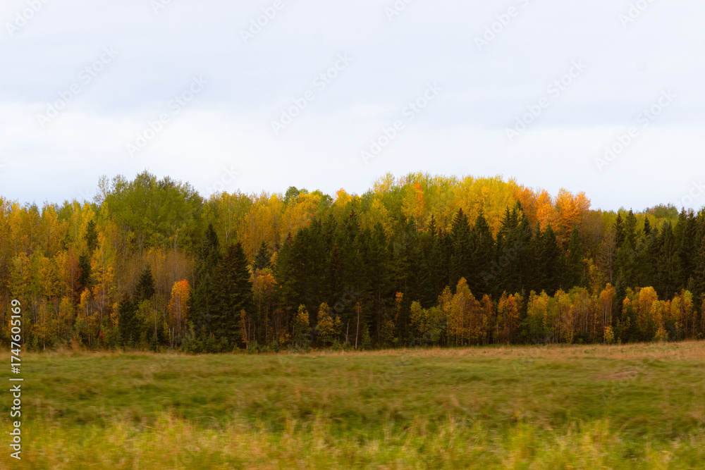 Fototapeta premium Fall 2025 Alberta, Canada