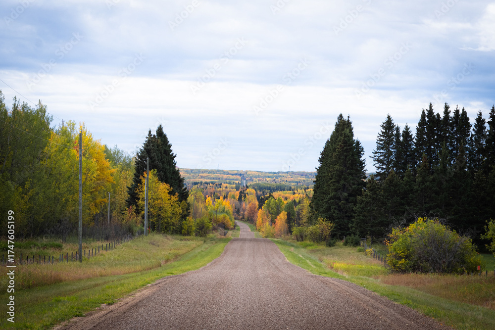 Fototapeta premium Fall 2025 Alberta, Canada