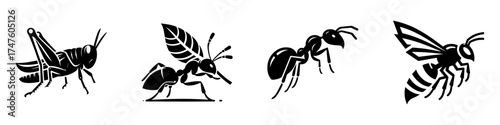 Insects: Grasshopper Ant Ant with Wings and Bee.