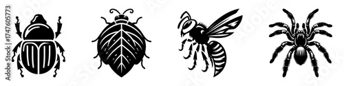 Insects and Arachnids: A Detailed Black and White Illustration.