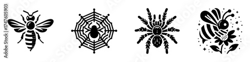 Insect and spider illustrations black and white designs nature themes.