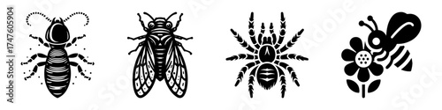 Insects and Arachnids: A Detailed Depiction of Various Species.