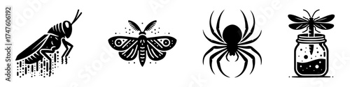 Insect Collection: A Detailed Illustration of Various Bugs.