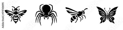Insects and arachnids: A visual guide to common species.