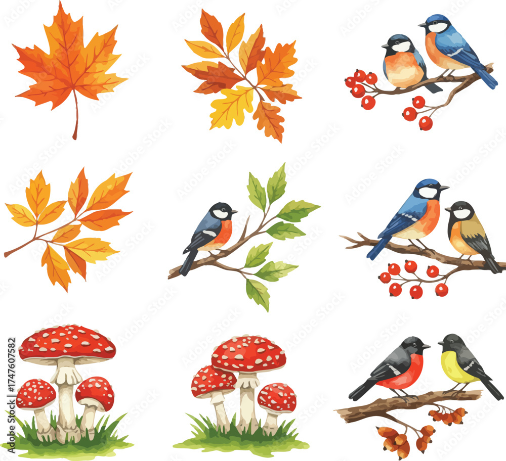 Fototapeta premium Charming autumn nature collection featuring birds maple leaves and mushrooms in vibrant colors