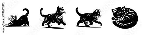 Adorable Cats in Various Poses: Playful Running and Sleeping.