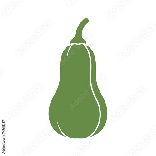 Butternut squash is a popular winter squash known for its sweet nutty flavor and versatile culinary uses.