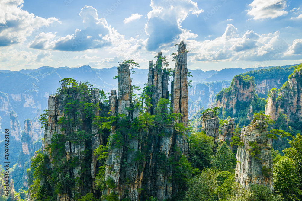 Obraz premium Majestic Zhangjiajie national forest park: towering sandstone pillars emerging from lush green forest, Wulingyuan Scenic Area, Hunan Province, China.