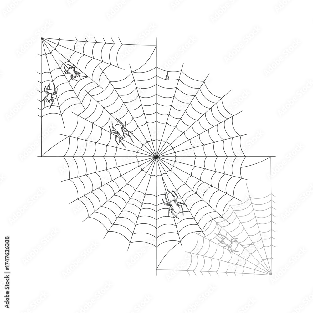 Obraz premium Spiderwebs with Spiders halloween spooky creepy arachnid scary decoration cobweb design illustration graphic animal insect danger fear