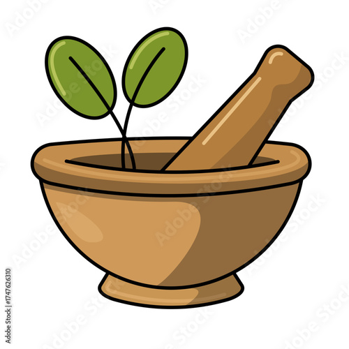 Herbal medicine mortar and pestle illustration