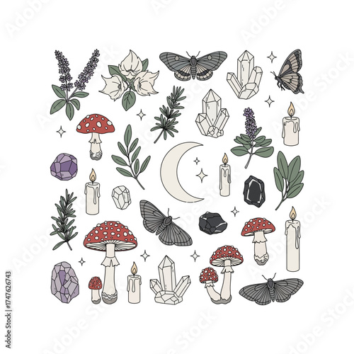 Magical Elements Illustration mushroom moth crystal candle moon plant botanical spiritual occult witchcraft floral flower lavender sage