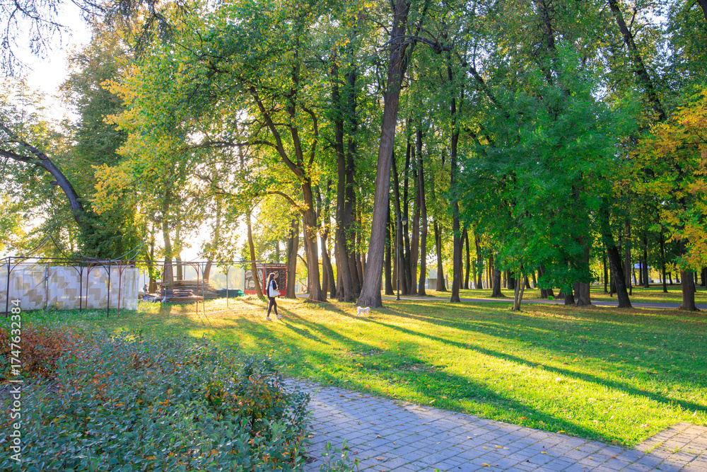 Naklejka premium Park with a path and trees