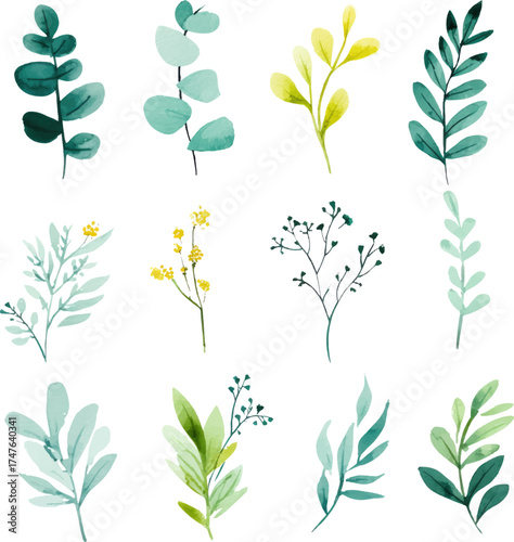 
Watercolor, simple flat illustration, greenery set of 9 clipart elements on a white background with margins