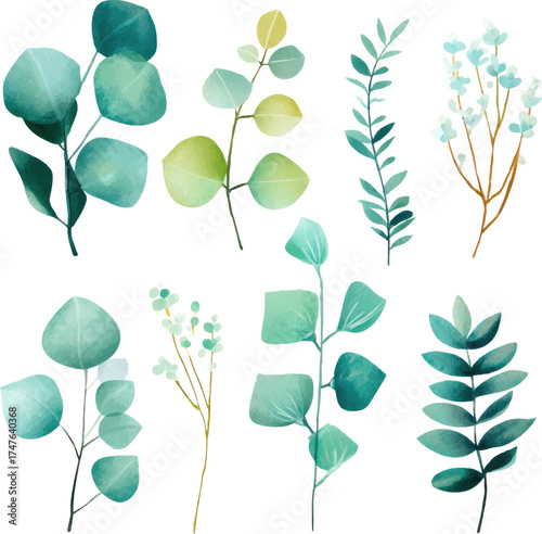 
Set of simple watercolor greenery, in pastel colors, vector illustration isolated on a white background, in a minimalist style