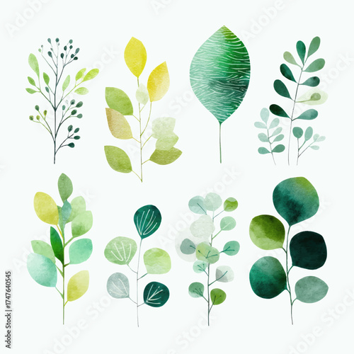 
Watercolor, simple flat illustration, greenery set of 9 clipart elements on a white background with margins