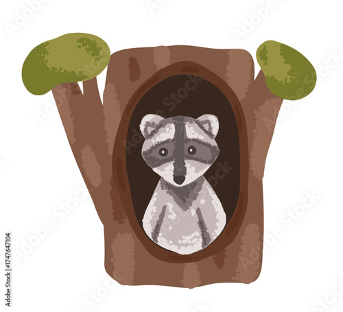 Raccoon animal in hole den in forest tree. Flat vector illustration