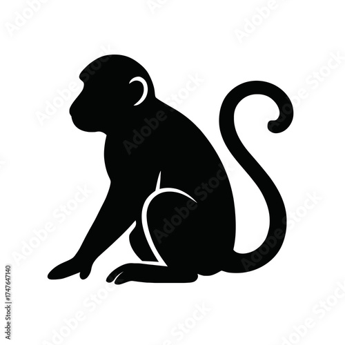 Flat 2D vector illustration of monkey silhouette sitting, minimal black shape with curled tail, isolated on white background, clean simple design for wildlife or nature theme.
