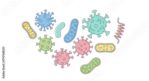 Adobe Illustrator Artwork