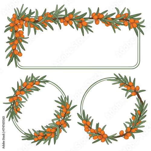 Decorative frames featuring sea buckthorn berries and green leaves arranged artistically.