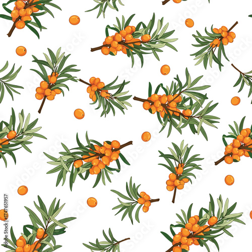 Seamless pattern of sea buckthorn branches with berries and leaves on a white background.