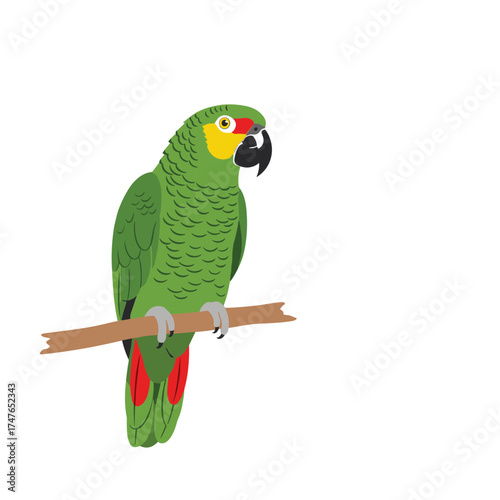 A vibrant green parrot with yellow accents and red tail feathers perches on a wooden branch.