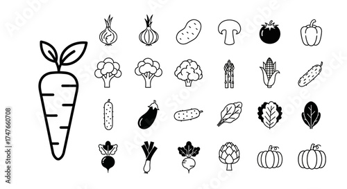 Vector illustration featuring a variety of fresh vegetables in a minimalist style design