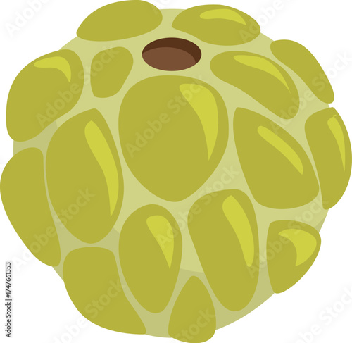 Custard apple fruit with bumpy skin and a hole on top, showcasing its segmented and textured appearance