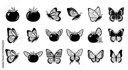 Monochrome whimsical collection of tomatoes combined with butterfly elements in vector format