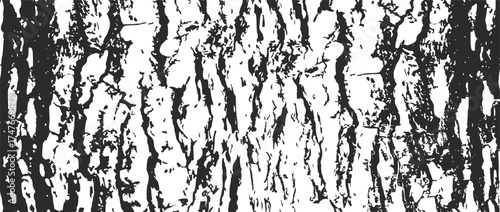 Tree bark texture