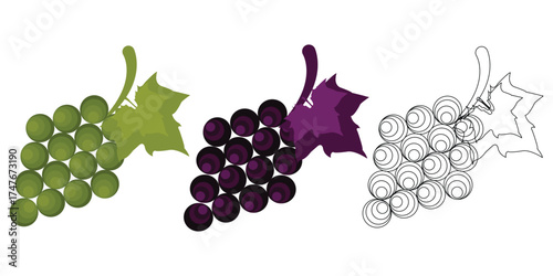Grapes Vector Art Design