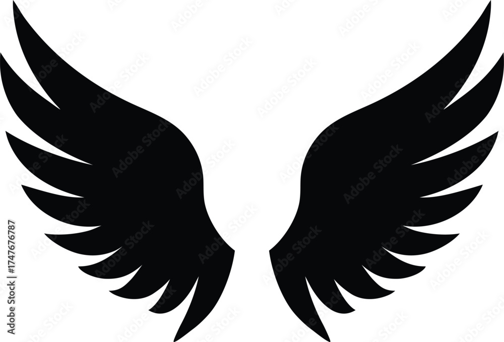 Obraz premium Wings Silhouette