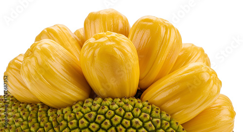Close up realistic photo of ripe jackfruit on black background